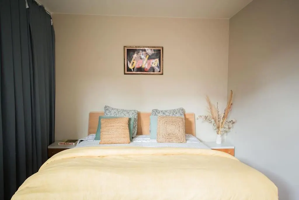 Stay Local In Charming Zuid Area Antwerp 0*,