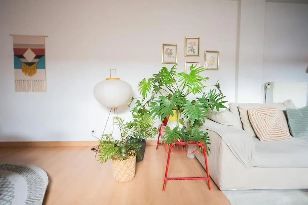 Stay Local In Charming Zuid Area Antwerp