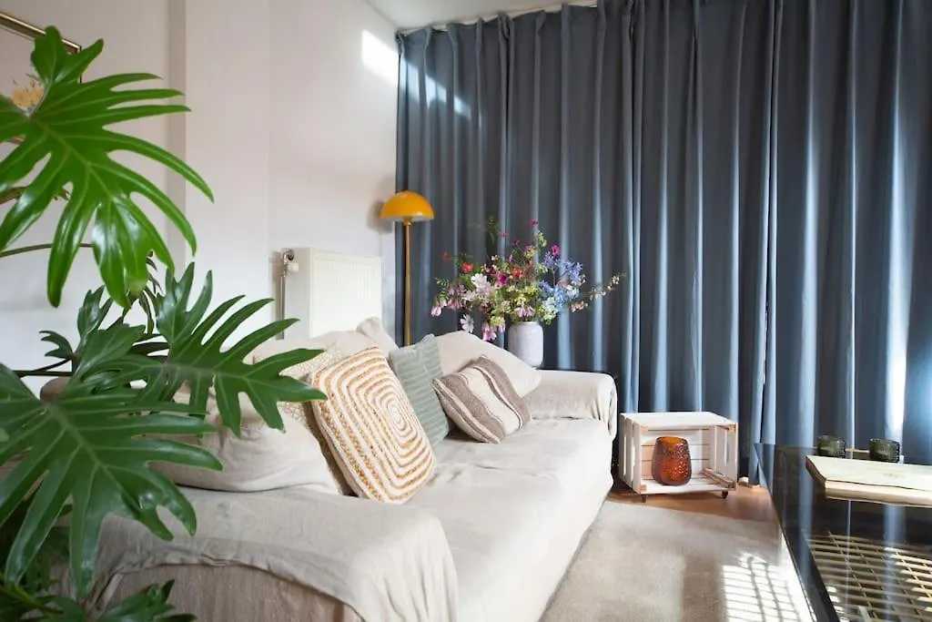 Stay Local In Charming Zuid Area Antwerp Belgium